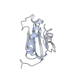 16334_8byv_k_v1-0
Cryo-EM structure of a Staphylococus aureus 30S-RbfA complex