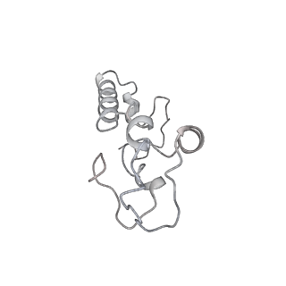 16334_8byv_m_v1-0
Cryo-EM structure of a Staphylococus aureus 30S-RbfA complex