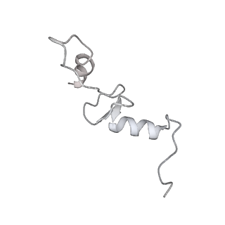16334_8byv_n_v1-0
Cryo-EM structure of a Staphylococus aureus 30S-RbfA complex