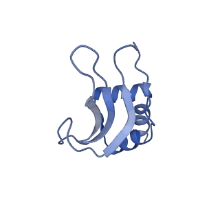 16334_8byv_p_v1-0
Cryo-EM structure of a Staphylococus aureus 30S-RbfA complex