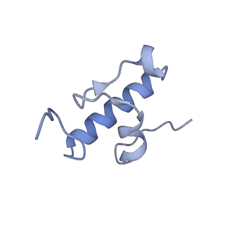 16334_8byv_r_v1-0
Cryo-EM structure of a Staphylococus aureus 30S-RbfA complex
