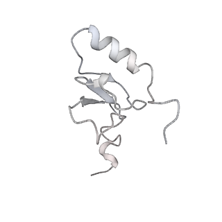 16334_8byv_s_v1-0
Cryo-EM structure of a Staphylococus aureus 30S-RbfA complex