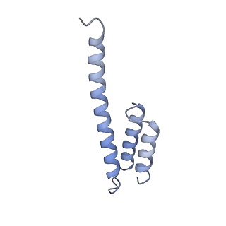 16334_8byv_t_v1-0
Cryo-EM structure of a Staphylococus aureus 30S-RbfA complex