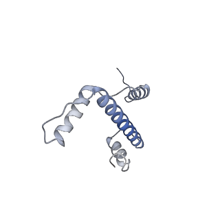 30239_7by0_A_v1-1
The cryo-EM structure of CENP-A nucleosome in complex with the phosphorylated CENP-C