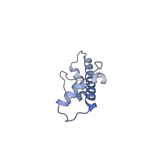 30239_7by0_G_v1-1
The cryo-EM structure of CENP-A nucleosome in complex with the phosphorylated CENP-C