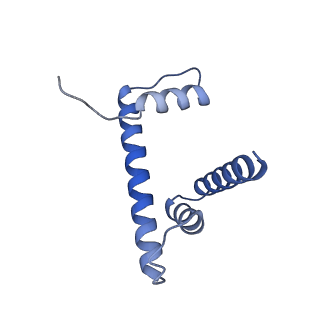 30239_7by0_H_v1-1
The cryo-EM structure of CENP-A nucleosome in complex with the phosphorylated CENP-C