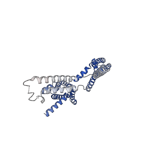 30244_7byl_A_v1-2
Cryo-EM structure of human KCNQ4