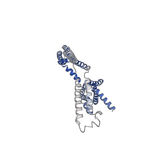 30244_7byl_C_v1-2
Cryo-EM structure of human KCNQ4