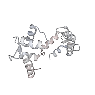 30244_7byl_D_v1-2
Cryo-EM structure of human KCNQ4