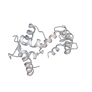 30244_7byl_D_v1-3
Cryo-EM structure of human KCNQ4