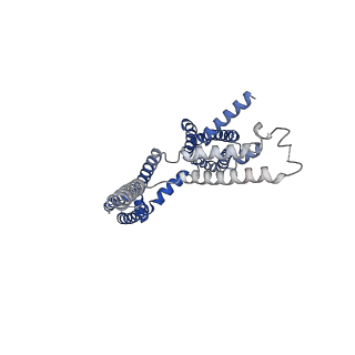 30244_7byl_E_v1-2
Cryo-EM structure of human KCNQ4