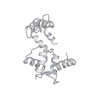 30244_7byl_F_v1-2
Cryo-EM structure of human KCNQ4