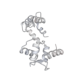 30244_7byl_F_v1-3
Cryo-EM structure of human KCNQ4