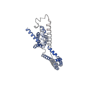 30244_7byl_G_v1-2
Cryo-EM structure of human KCNQ4