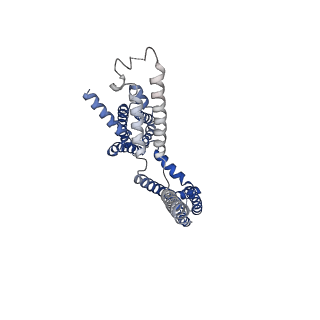 30244_7byl_G_v1-3
Cryo-EM structure of human KCNQ4