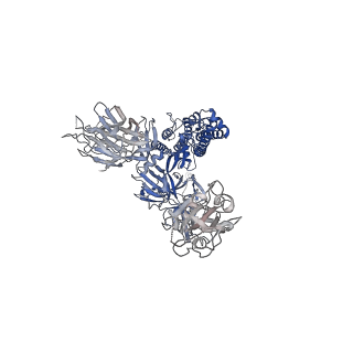 30247_7byr_A_v1-1
BD23-Fab in complex with the S ectodomain trimer