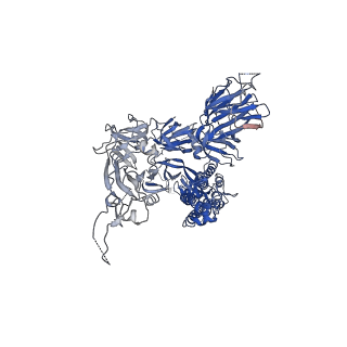30247_7byr_C_v1-1
BD23-Fab in complex with the S ectodomain trimer
