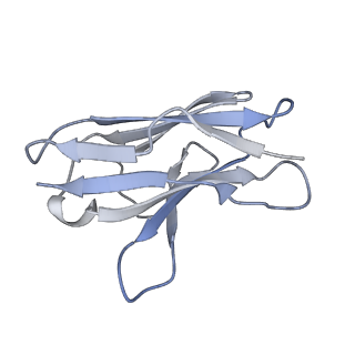 30247_7byr_L_v1-1
BD23-Fab in complex with the S ectodomain trimer