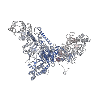 16335_8bz1_A_v1-2
RNA polymerase II core pre-initiation complex with the proximal +1 nucleosome (cPIC-Nuc10W)