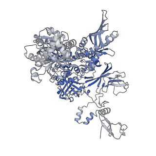 16335_8bz1_B_v1-2
RNA polymerase II core pre-initiation complex with the proximal +1 nucleosome (cPIC-Nuc10W)