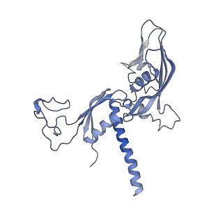 16335_8bz1_C_v1-2
RNA polymerase II core pre-initiation complex with the proximal +1 nucleosome (cPIC-Nuc10W)