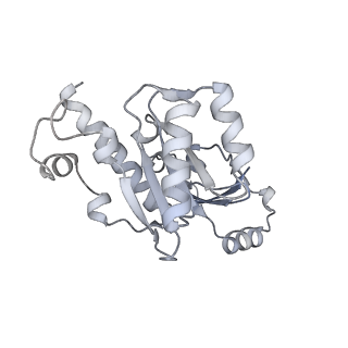 16335_8bz1_E_v1-2
RNA polymerase II core pre-initiation complex with the proximal +1 nucleosome (cPIC-Nuc10W)