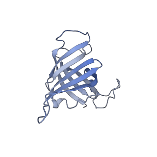 16335_8bz1_H_v1-2
RNA polymerase II core pre-initiation complex with the proximal +1 nucleosome (cPIC-Nuc10W)