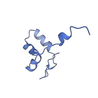 16335_8bz1_J_v1-2
RNA polymerase II core pre-initiation complex with the proximal +1 nucleosome (cPIC-Nuc10W)