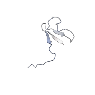 16335_8bz1_L_v1-2
RNA polymerase II core pre-initiation complex with the proximal +1 nucleosome (cPIC-Nuc10W)