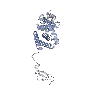 16335_8bz1_M_v1-2
RNA polymerase II core pre-initiation complex with the proximal +1 nucleosome (cPIC-Nuc10W)