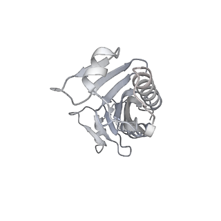 16335_8bz1_O_v1-2
RNA polymerase II core pre-initiation complex with the proximal +1 nucleosome (cPIC-Nuc10W)