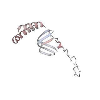 16335_8bz1_U_v1-2
RNA polymerase II core pre-initiation complex with the proximal +1 nucleosome (cPIC-Nuc10W)