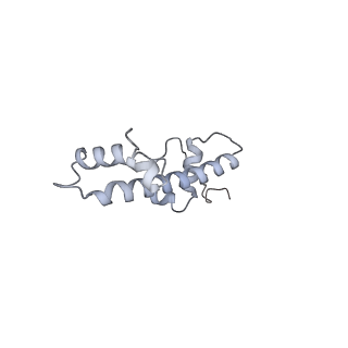 16335_8bz1_g_v1-2
RNA polymerase II core pre-initiation complex with the proximal +1 nucleosome (cPIC-Nuc10W)