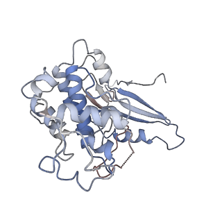 16344_8bzo_A_v1-1
Cryo-EM structure of CDK2-CyclinA in complex with p27 from the SCFSKP2 E3 ligase Complex