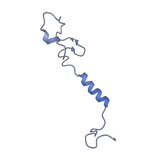 16344_8bzo_C_v1-1
Cryo-EM structure of CDK2-CyclinA in complex with p27 from the SCFSKP2 E3 ligase Complex