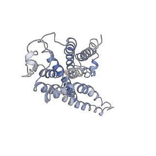 30249_7bz2_R_v1-0
Cryo-EM structure of the formoterol-bound beta2 adrenergic receptor-Gs protein complex.