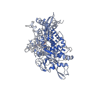 30252_7bzf_A_v1-3
COVID-19 RNA-dependent RNA polymerase post-translocated catalytic complex
