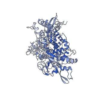 30252_7bzf_A_v1-4
COVID-19 RNA-dependent RNA polymerase post-translocated catalytic complex