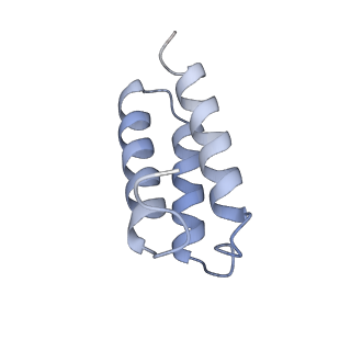 30252_7bzf_C_v1-4
COVID-19 RNA-dependent RNA polymerase post-translocated catalytic complex