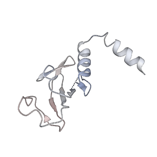 30252_7bzf_D_v1-3
COVID-19 RNA-dependent RNA polymerase post-translocated catalytic complex