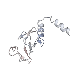 30252_7bzf_D_v1-4
COVID-19 RNA-dependent RNA polymerase post-translocated catalytic complex