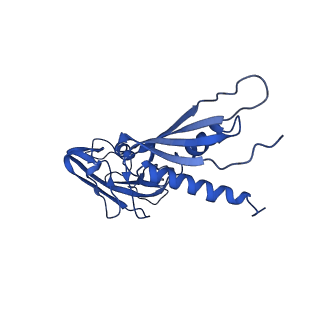 7319_6bzo_A_v1-2
Mtb RNAP Holo/RbpA/Fidaxomicin/upstream fork DNA