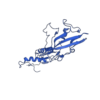 7319_6bzo_B_v1-2
Mtb RNAP Holo/RbpA/Fidaxomicin/upstream fork DNA