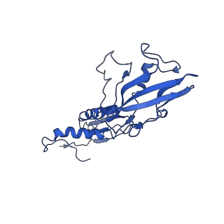 7319_6bzo_B_v1-3
Mtb RNAP Holo/RbpA/Fidaxomicin/upstream fork DNA