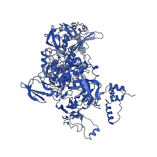 7319_6bzo_C_v1-2
Mtb RNAP Holo/RbpA/Fidaxomicin/upstream fork DNA