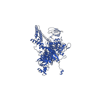 7319_6bzo_D_v1-2
Mtb RNAP Holo/RbpA/Fidaxomicin/upstream fork DNA