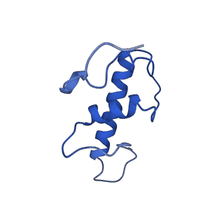 7319_6bzo_E_v1-3
Mtb RNAP Holo/RbpA/Fidaxomicin/upstream fork DNA