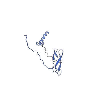 7319_6bzo_J_v1-2
Mtb RNAP Holo/RbpA/Fidaxomicin/upstream fork DNA