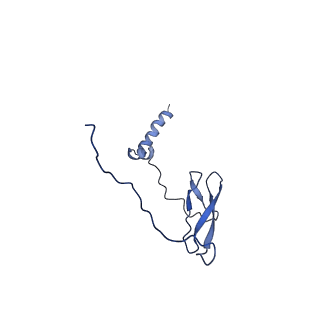 7319_6bzo_J_v1-3
Mtb RNAP Holo/RbpA/Fidaxomicin/upstream fork DNA