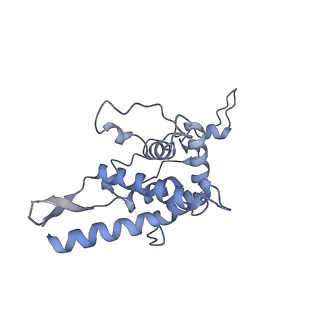 16347_8c00_B_v1-1
Enp1TAP-S21_A population of yeast small ribosomal subunit precursors depleted of rpS21/eS21